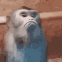 monkeyMad emote