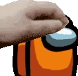 petorange emote