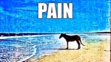LeagueofLegends emote