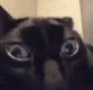 ruh emote