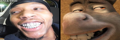 WOO static emote