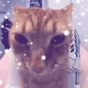 juh emote