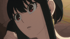 YorSerious animated emote