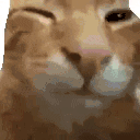 buhbye animated emote