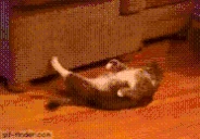 gym emote