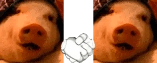 Svinopojatie emote