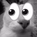 dosevoid emote