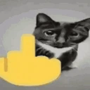 catFU emoji
