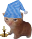 RobertHonkShoo emote