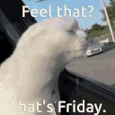Friday emote