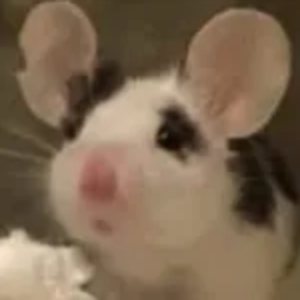 pearsoda6452 avatar