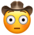 FlusteredCowboy emote