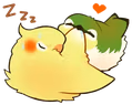 birbbitingbirb emote