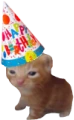 birthdayRobert emote