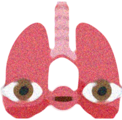 lungus emote