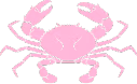 zodiactransparent_IDS emote