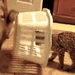 CatJail emote