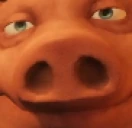 pigW emote