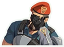 brimfacepalm_valorant emote