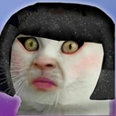 funny_cat_smashed_face_girl emote