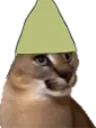 FloppaDank emoji