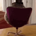 HedgehogBusiness emote