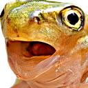 frogpogl emote
