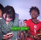 staysquiet emote