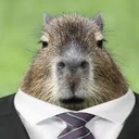 capybaralawyer emote