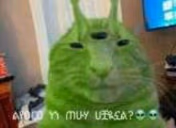 61e5e9033120c emote