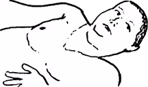 ParisOgre emoji