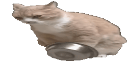 Dyreet animated emote