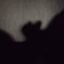 shadow_nice emote