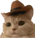 howdy emote