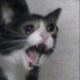 shocked emote
