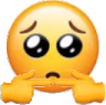 Shy emote