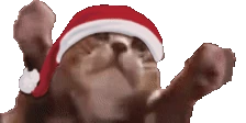 clappi emote