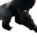 GorillaSpin emote