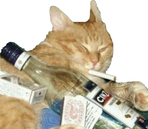 cat emote