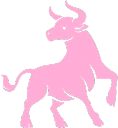 zodiactransparent_IDS emote