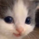 Hehe emote