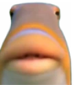 Huh emote