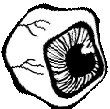 weird_eyeball emote