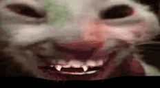xxd emoji