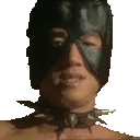 VANNING emote