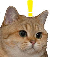 Whatcat_1 emote