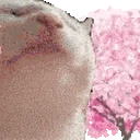 catJAM emote