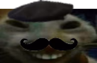 xouioui emote