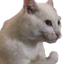 79_CatChefKiss emoji