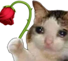 sadRose emote